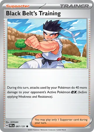 NordicDice Pkm Singles Black Belt's Training - Prismatic Evolutions Pokemon Card English