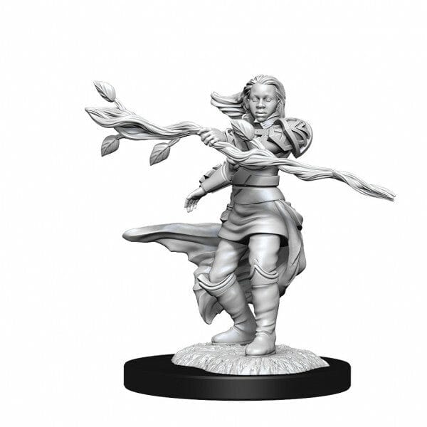 NordicDice rollespilsfigurer Dungeons and Dragons: Nolzur's Marvelous Minatures - Human Druid Female