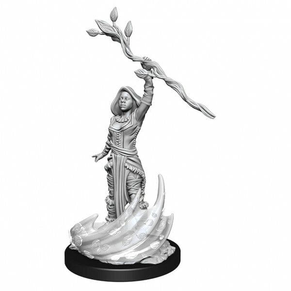 NordicDice rollespilsfigurer Dungeons and Dragons: Nolzur's Marvelous Minatures - Human Druid Female