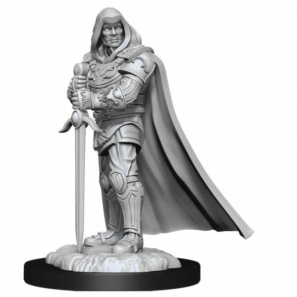 NordicDice rollespilsfigurer Dungeons and Dragons: Nolzur's Marvelous Miniatures - Human Male Paladin