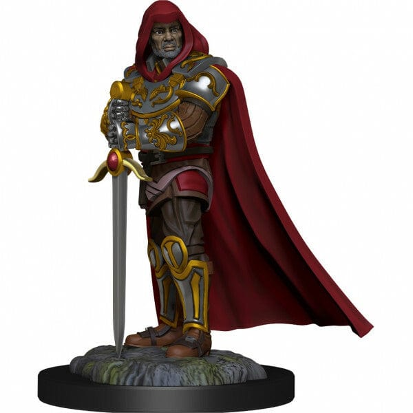 NordicDice rollespilsfigurer Dungeons and Dragons: Nolzur's Marvelous Miniatures - Human Male Paladin