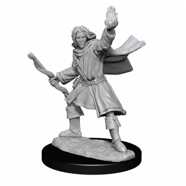 NordicDice rollespilsfigurer Pathfinder Battles: Deep Cuts - Elf Sorcerer Male