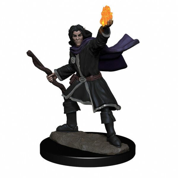 NordicDice rollespilsfigurer Pathfinder Battles: Deep Cuts - Elf Sorcerer Male