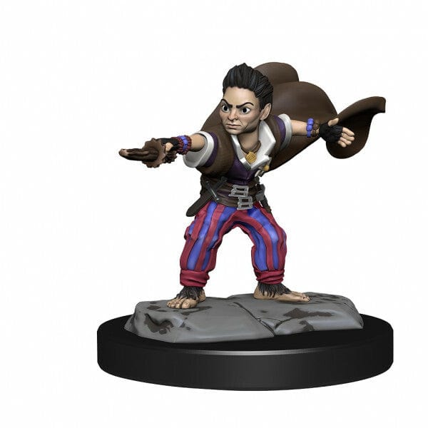 NordicDice rollespilsfigurer Pathfinder Battles: Deep Cuts - Halfling Wizard Male