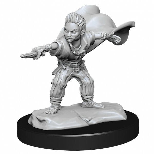 NordicDice rollespilsfigurer Pathfinder Battles: Deep Cuts - Halfling Wizard Male