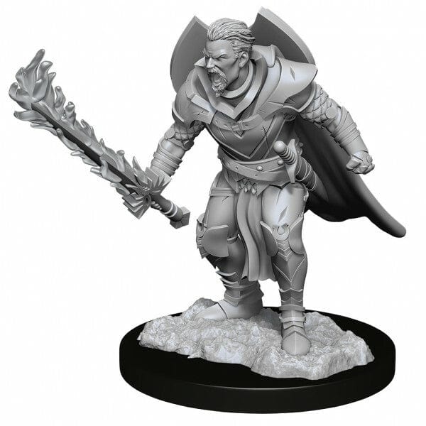 NordicDice rollespilsfigurer Pathfinder Battles: Deep Cuts - Human Champion Male