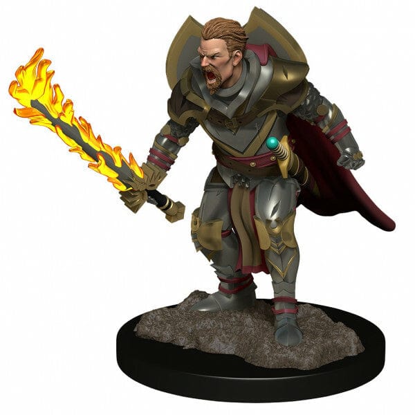 NordicDice rollespilsfigurer Pathfinder Battles: Deep Cuts - Human Champion Male