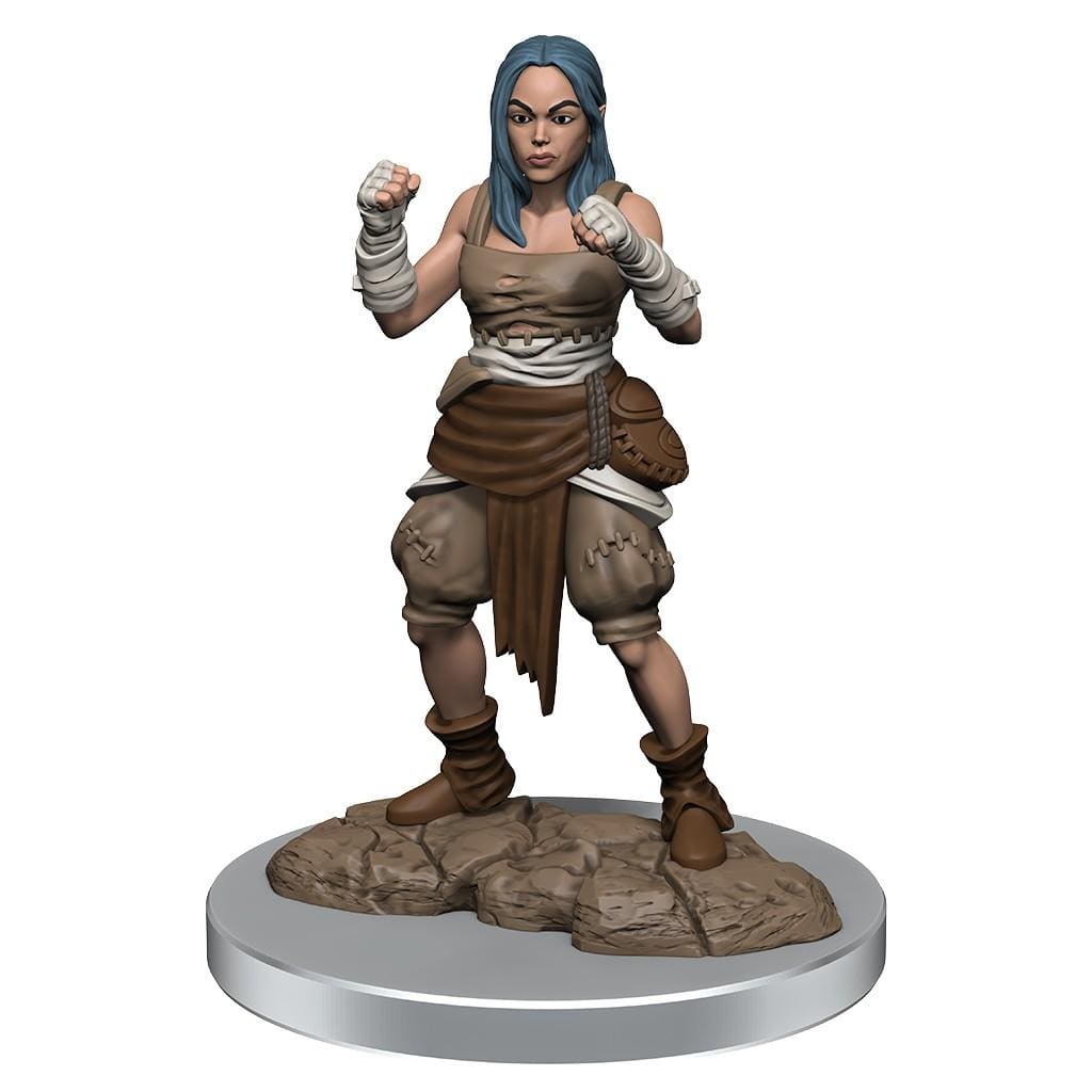 NordicDice rollespilsfigurer Pathfinder Deep Cuts: Half-Elf Monk Females