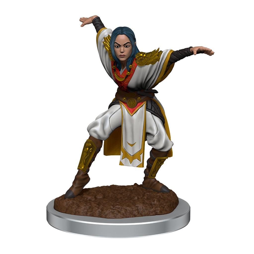 NordicDice rollespilsfigurer Pathfinder Deep Cuts: Half-Elf Monk Females