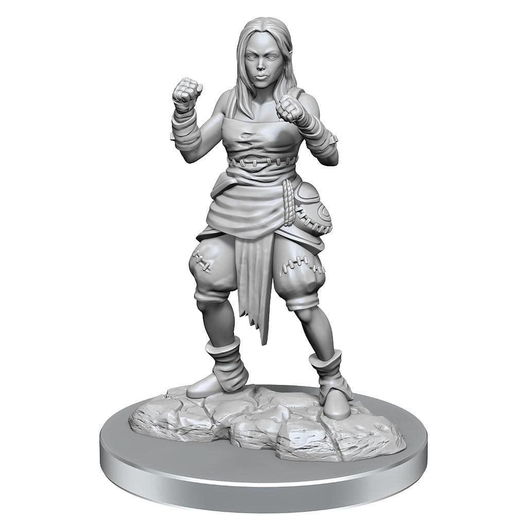 NordicDice rollespilsfigurer Pathfinder Deep Cuts: Half-Elf Monk Females