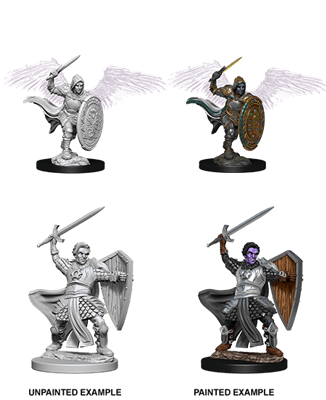 NordicDice rollespilsfigurer D&D Nolzur's Marvelous Miniatures - Aasimar Male Paladin