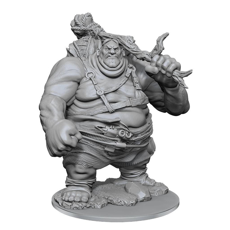 NordicDice rollespilsfigurer Dungeons and Dragons: Nolzur's Marvelous Miniatures - Hill Giant