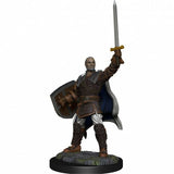 NordicDice rollespilsfigurer Dungeons and Dragons: Nolzur's Marvelous Miniatures - Human Male Paladin