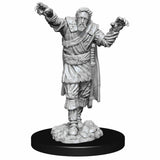 NordicDice rollespilsfigurer Dungeons and Dragons: Nolzur's Marvelous Miniatures - Scarecrow and Stone Cursed