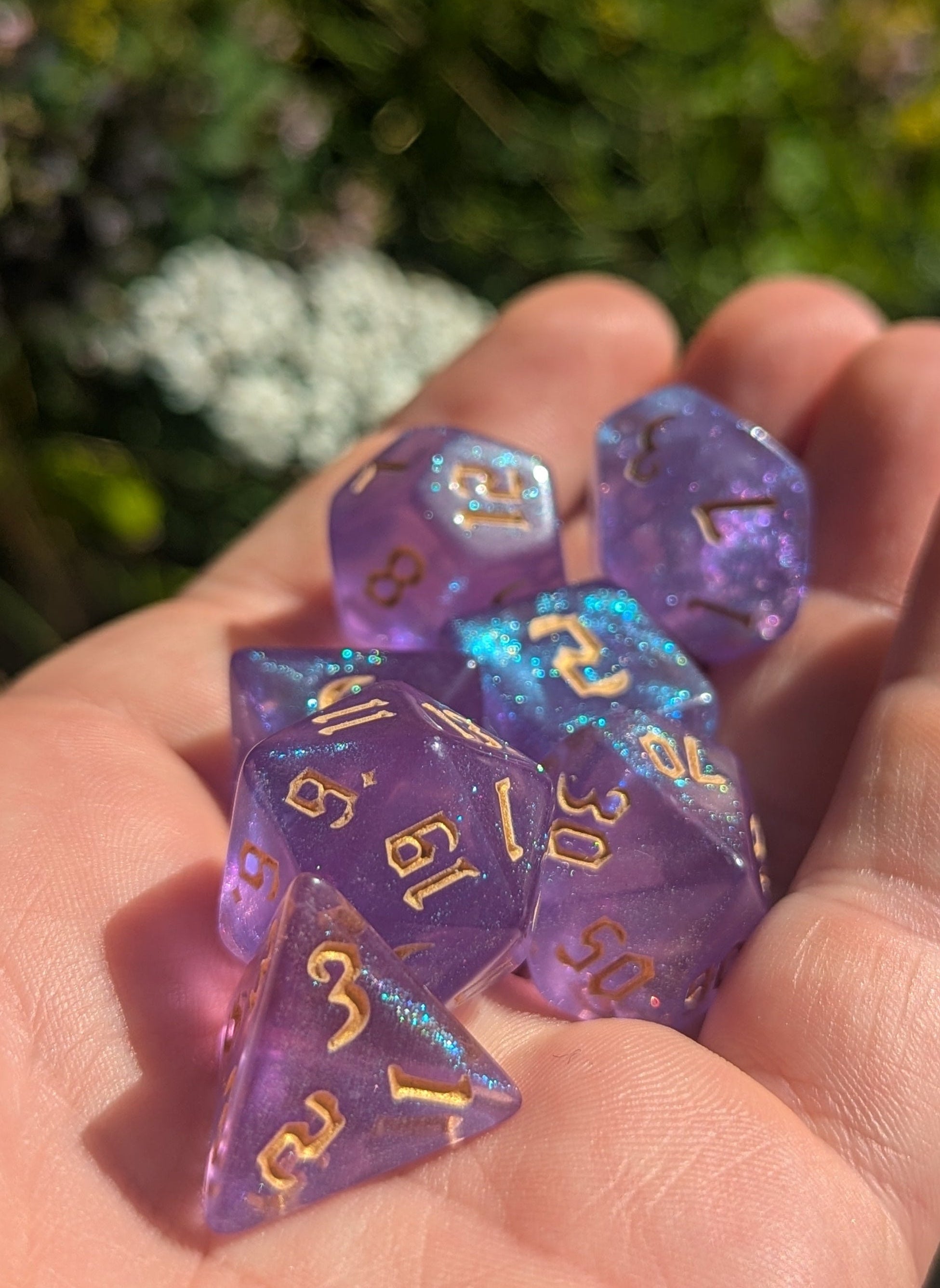 Lila Pflaume - D&D Starter  Würfelset